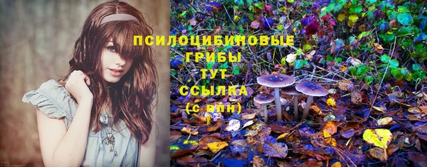 дживик Нефтегорск