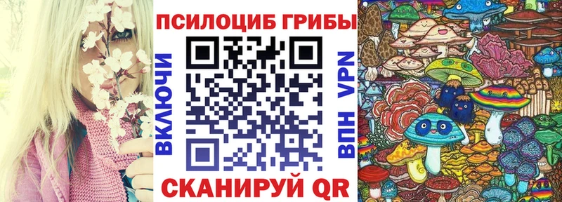 купить наркотики сайты  мега онион  Псилоцибиновые грибы Psilocybine cubensis  Кизилюрт 