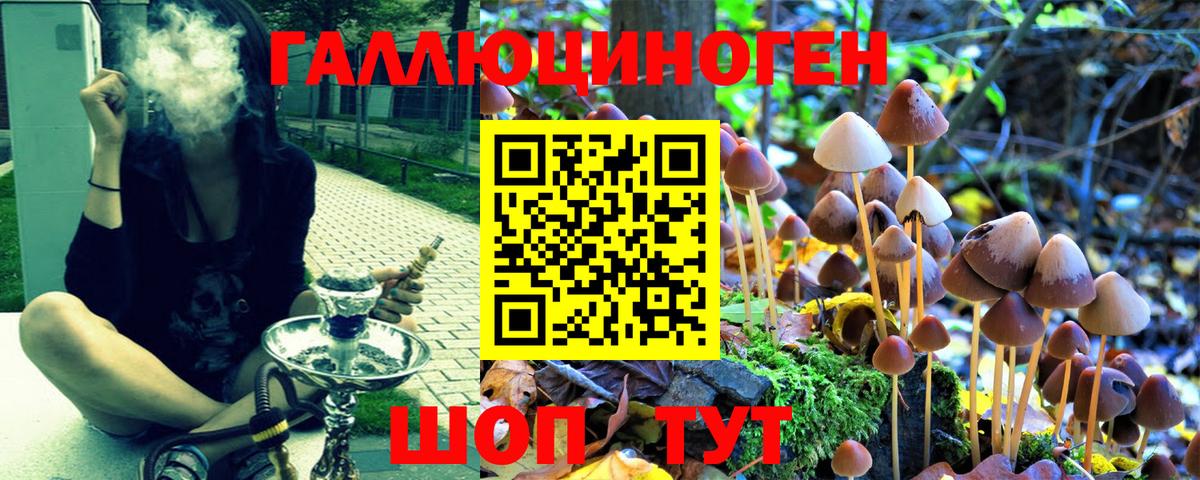Псилоцибиновые грибы GOLDEN TEACHER  Вход с VPN  Кизилюрт  Галлюциногенные грибы Psilocybe 